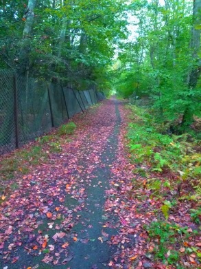 Leaving the picture pond trail by same access trail.