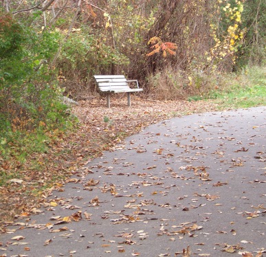 resting bench at pond meadow park