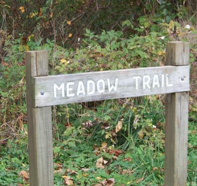 meadow trail at pond meadow park