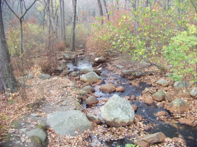 stream behind dam at pond meadow park