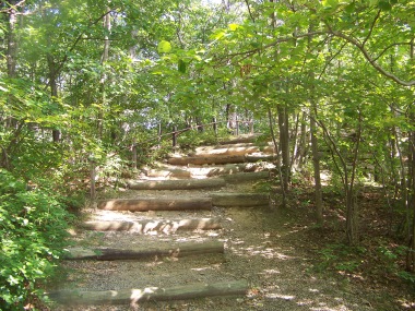 short climb to dam walkway in pond meadow park