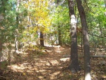 the climb up pudding hill