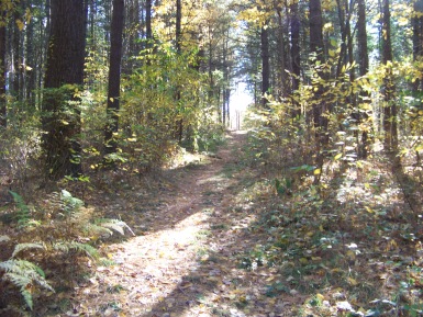 hiking trail at pudding hill in marshfield