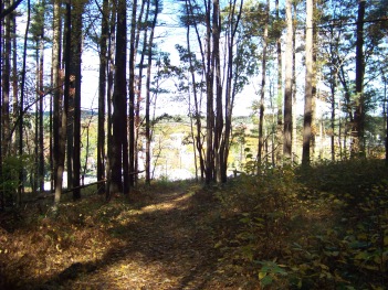 trail opens to a view at pudding hill