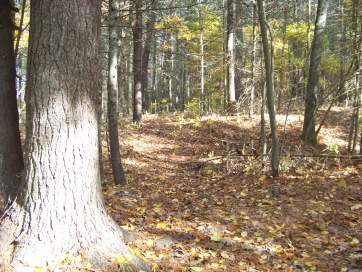 junction trail at pudding hill