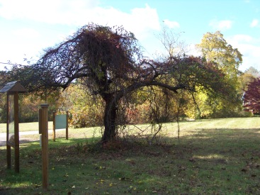 meadow parking at pudding hill reservation