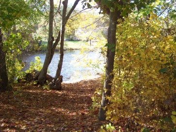 fishing spot on chandler pond in marshfield