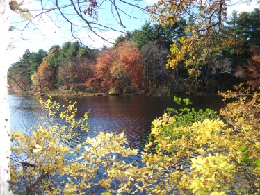 chandler pond in autumn in marshfield