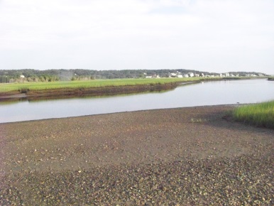 dog beach or canoe launch at Rexhame Beach