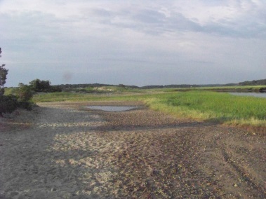 after high tide on the trails behind rexhame beach