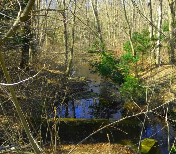 Looking downstream from the trail on the Rockland Fireworks Trail.