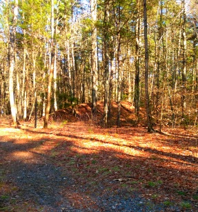 Mounds along the hiking trail that resemble the underground bunkers found at Wompatuck State Park