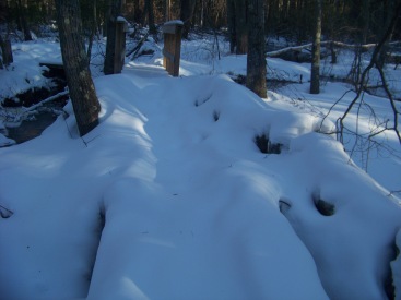 heavy snow over bridges in rockland