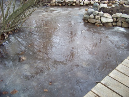 icy water in Rockland Town Forest