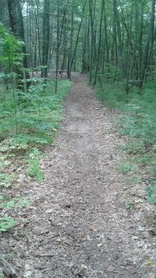 wide cart path at rocky run