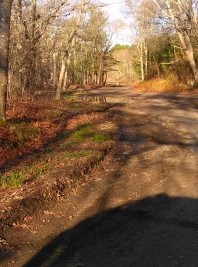 Dirt road into Russell and Sawmill Conservation Area.