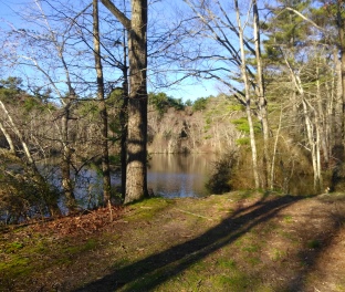 Beautiful view of Sawmill Pond and a great fishing spot!