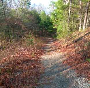 Gravel hiking trail leading gently downhill.