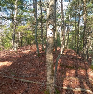 A conservation sign and arrow point the way at Russell and Sawmill Pond Conservation Area in Plymouth.