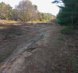 hiking trail along the power line intersects with a forest trail at sawmill pond conservation area.