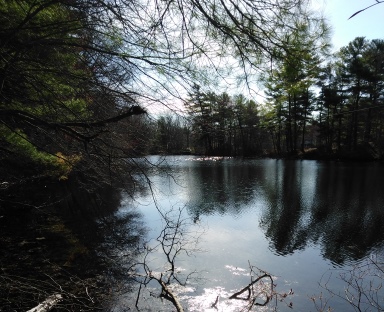 A view of Russell Pond from the opposite end.