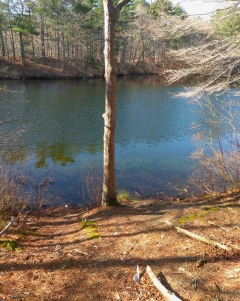 Side trail leads down to waters edge.