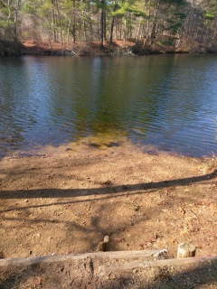 Trail side beach at Russell and Sawmill Pond Conservation Area.