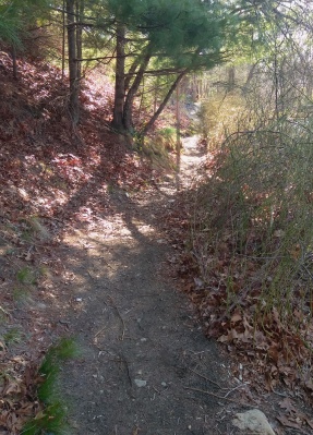 The hiking trail heading out at the end of the loop.