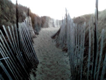 sandy passageway thru protected dunes at rexhame beach