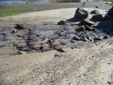 small water channel on beach as tide recedes