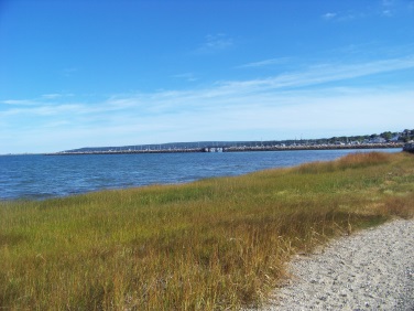 sea grass on route to breakwater