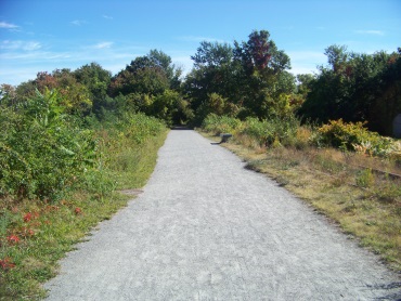 sea side trail with bench