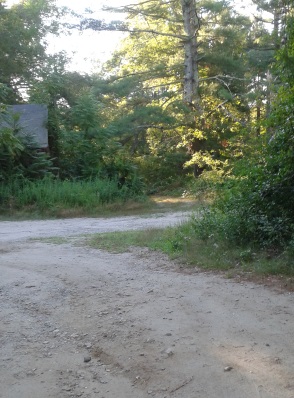 Other side of parking lot at silver lake sanctuary where the trail leads past a barn and on to the other side of the sanctuary.