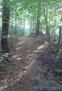 Side trail at Silver Lake Sanctuary leads to a small pond.