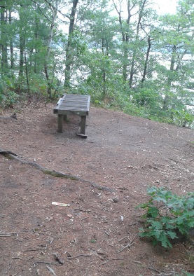 Bench overlook above Silver Lake at it's sanctuary.