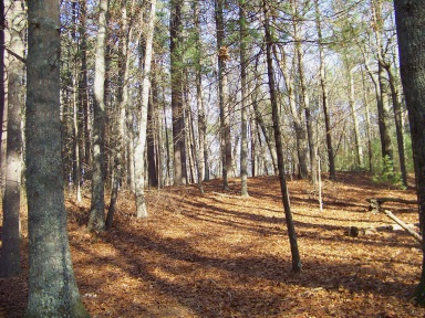 Uphill climb at Silver Lake Sanctuary