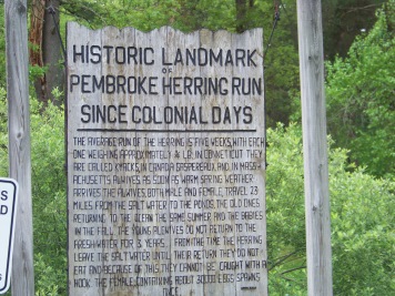 herring run information sign