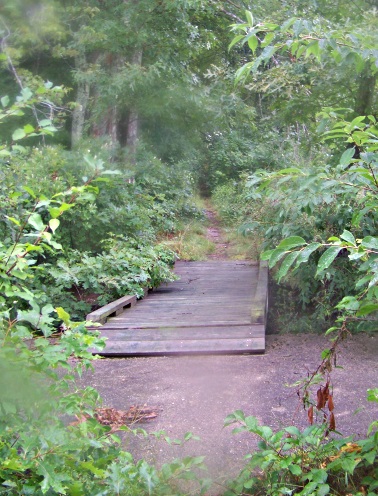 bridge at the far end of south river bogs