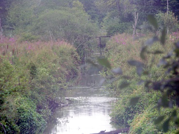 looking north at south river bogs