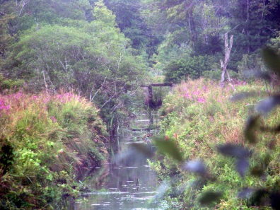 bridge over south river at the bogs in duxbury