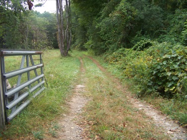 river trail at stetson meadows in norwell