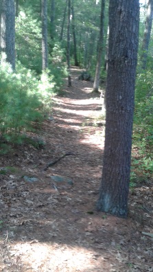 The river trail along the North River