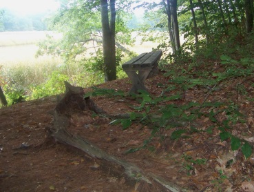 bench overlooking the North River at Stetson Meadows