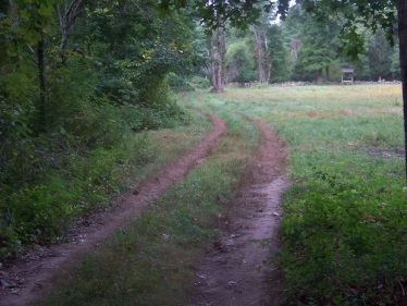 river trail from picnic area at stetson meadows