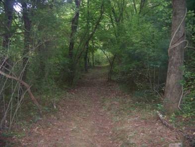 Salt Marsh Trail at Stetson Meadows