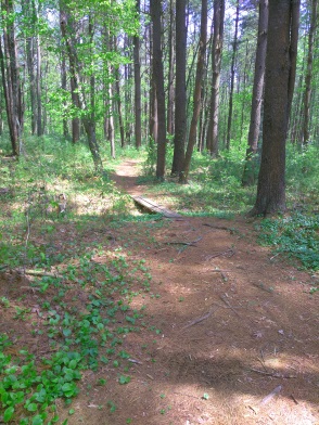 Footbridge along the path