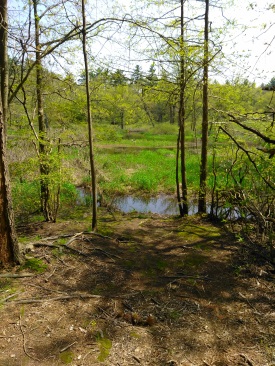 View of Winnetuxet River