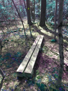 Foot bridge on second portion of loop