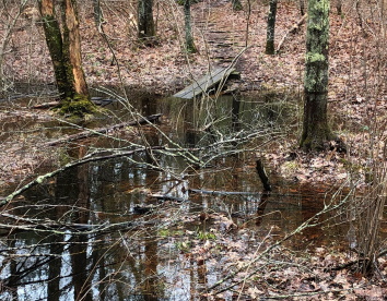 Waterlogged trail