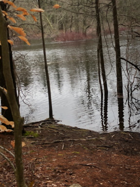 view of winnetuxet early spring